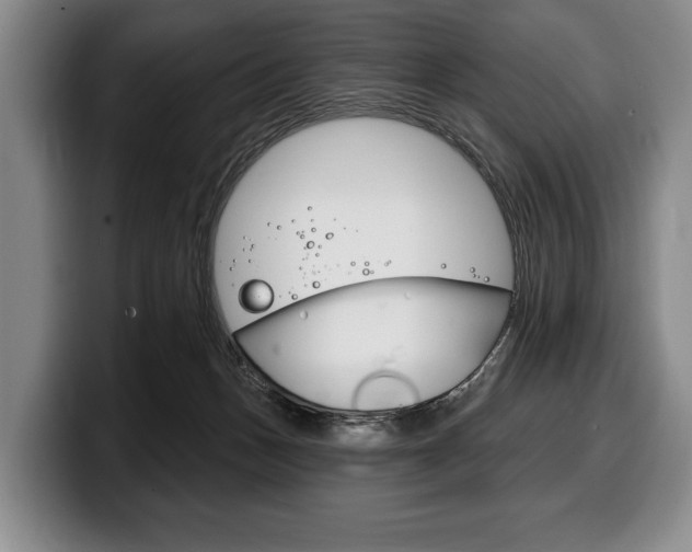 X0000100330175200806051211