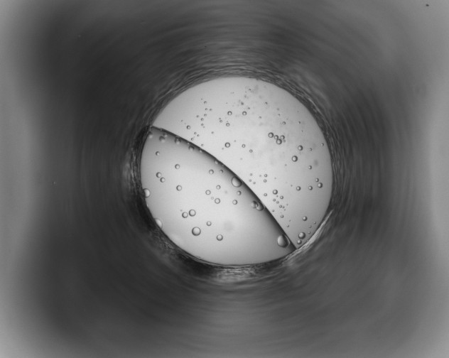 X0000100330179200806051211