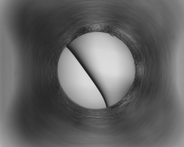 X0000100330181200806051211