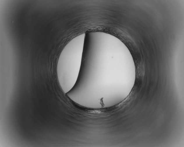 X0000100330183200806051211