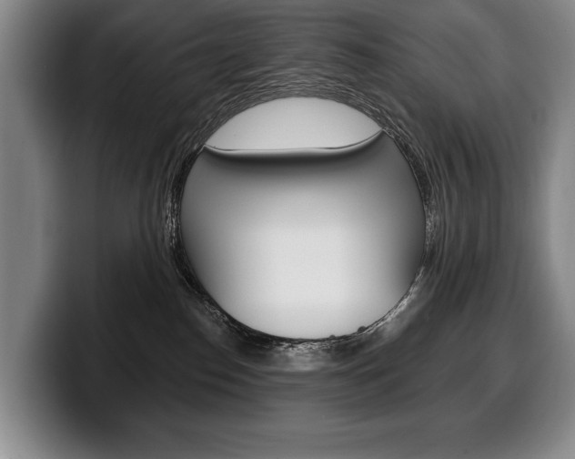 X0000100330186200806051211