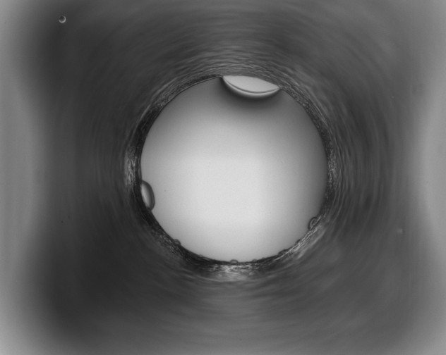 X0000100330188200806051211