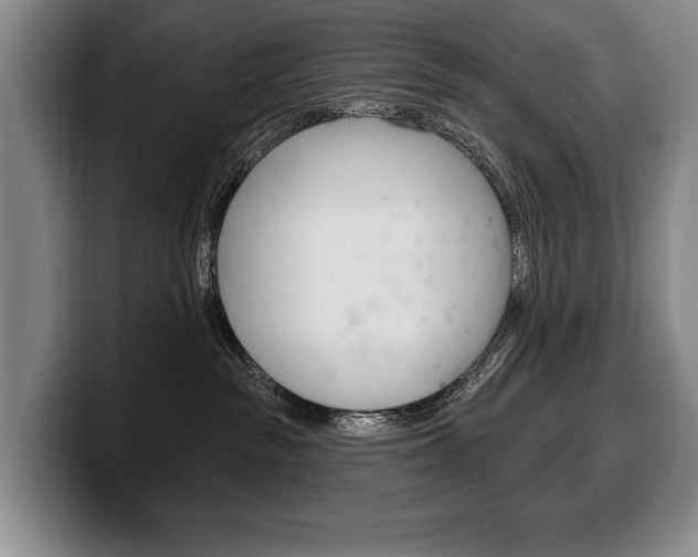 X0000100330189200806051211