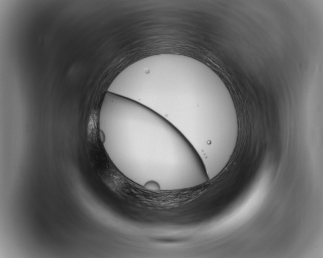 X0000100330191200806051211