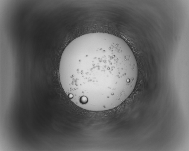 X0000100330192200806051211