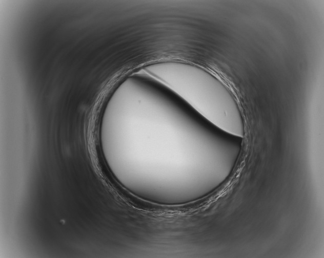 X0000100330193200806051211
