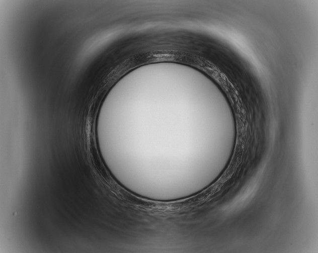 X0000100330194200806051211