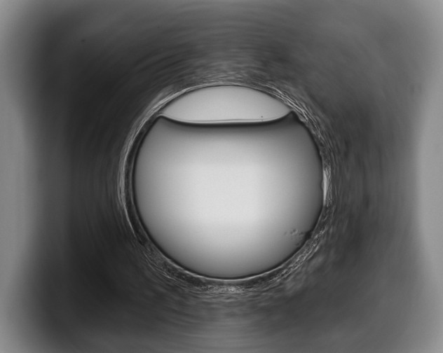 X0000100330195200806051211