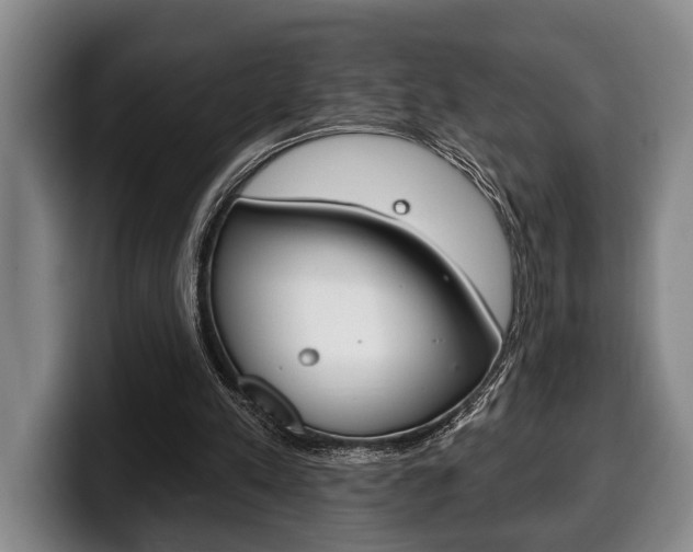 X0000100330197200806051211