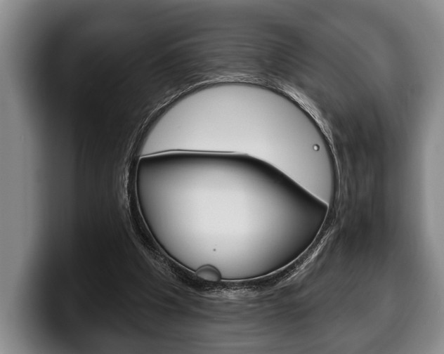 X0000100330201200806051210