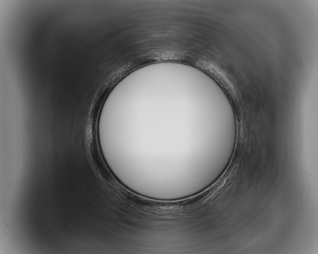 X0000100330202200806051210