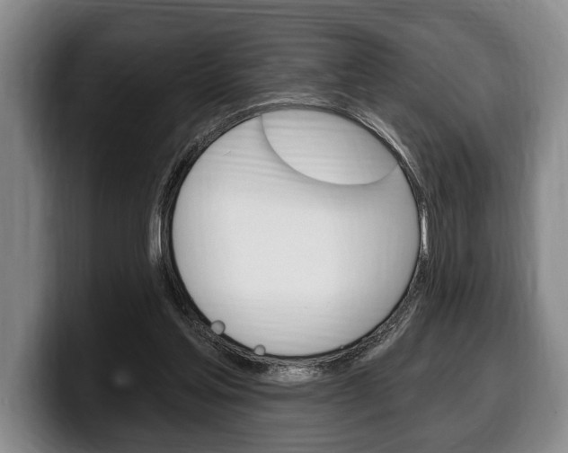 X0000100330205200806051210