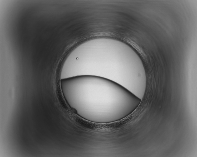 X0000100330207200806051210