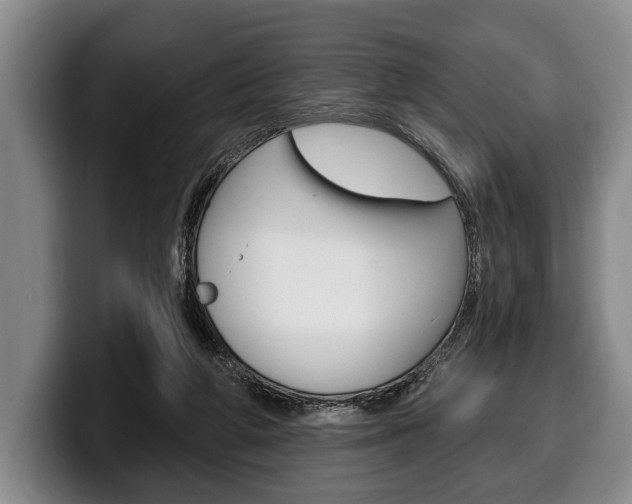 X0000100330210200806051210