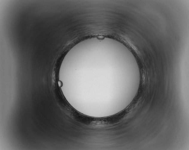 X0000100330211200806051210