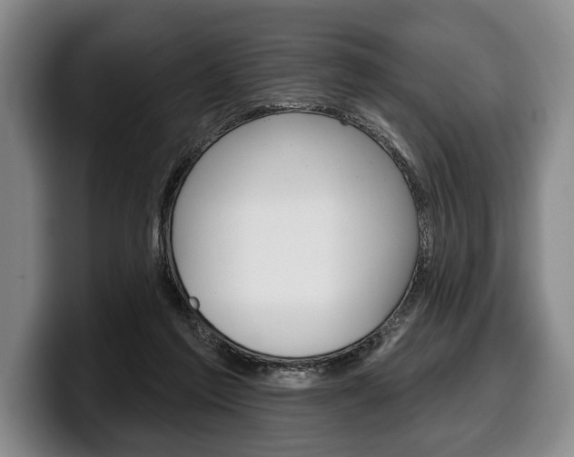 X0000100330213200806051210