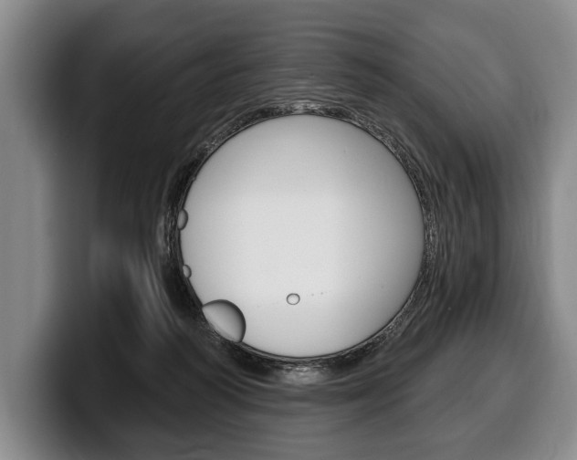 X0000100330218200806051210