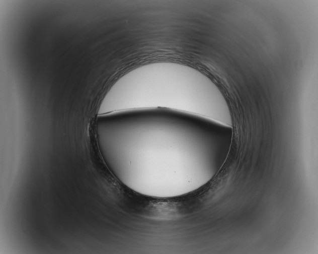 X0000100330221200806051210