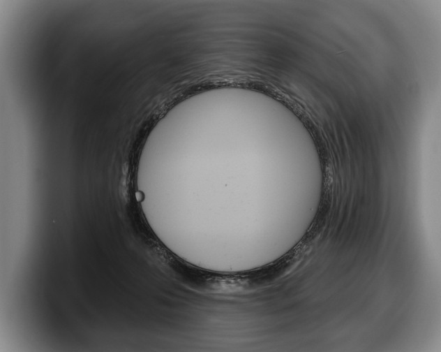 X0000100330223200806051210