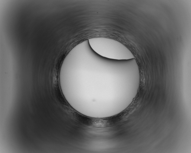 X0000100330226200806051210