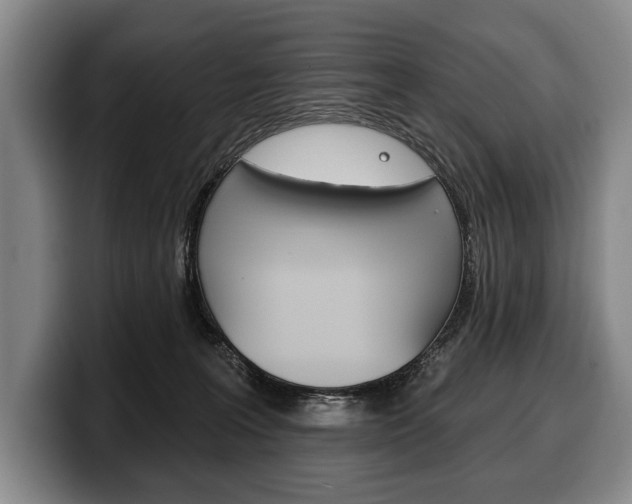 X0000100330227200806051210