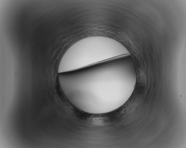 X0000100330228200806051210