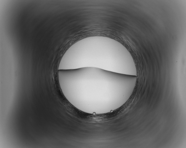 X0000100330229200806051210