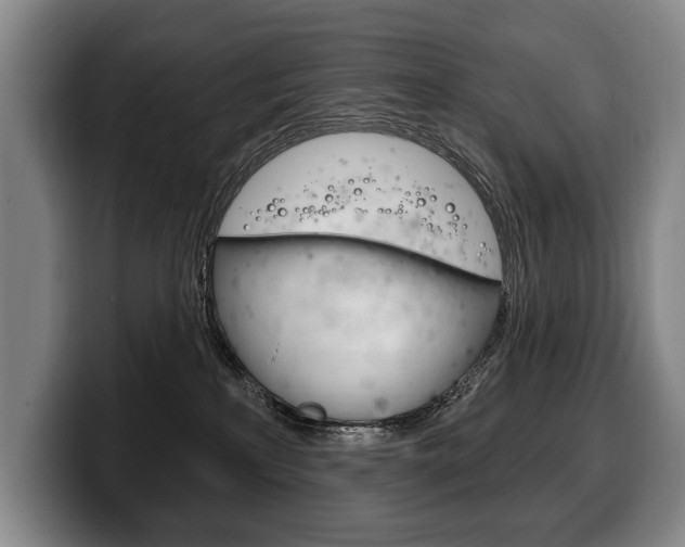 X0000100330233200806051210
