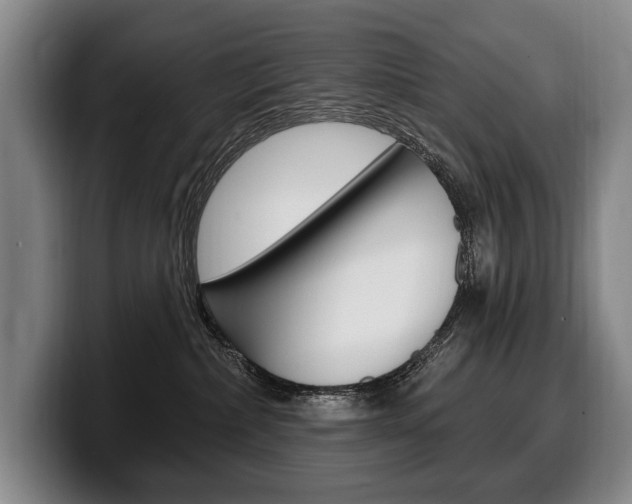 X0000100330236200806051210