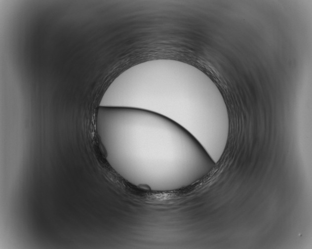 X0000100330237200806051210