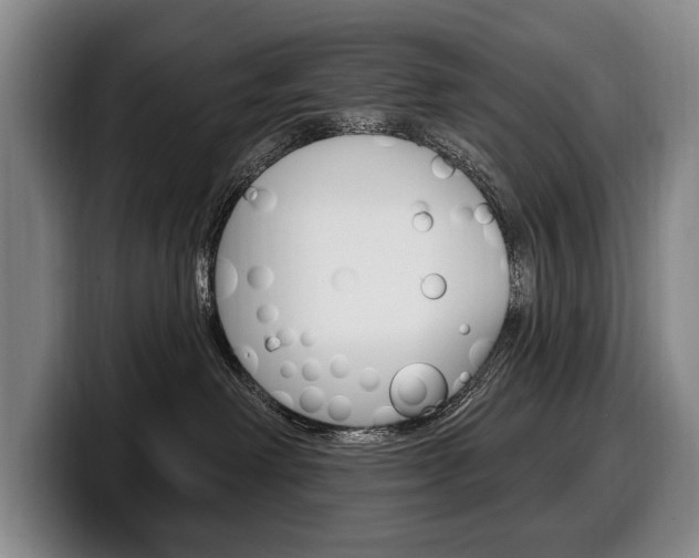 X0000100330238200806051210