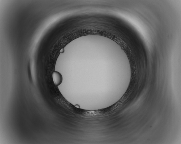 X0000100330239200806051210