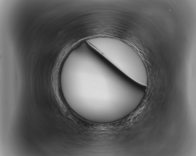X0000100330241200806051209