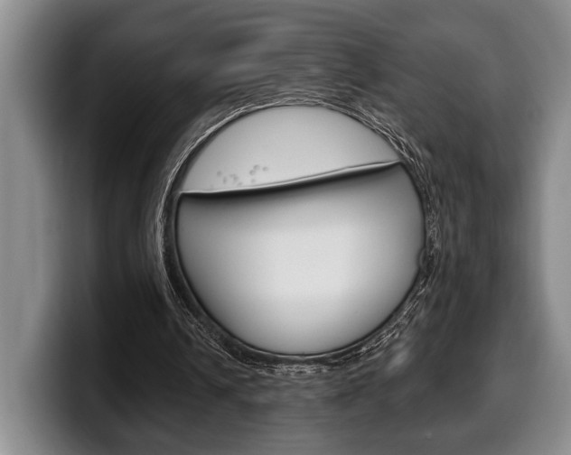 X0000100330242200806051209