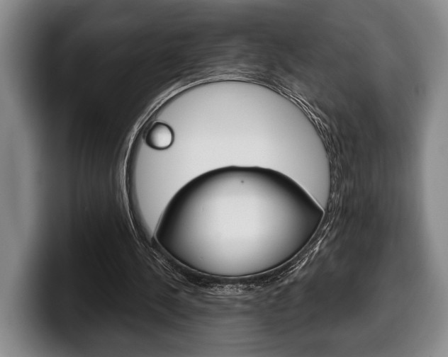 X0000100330244200806051209