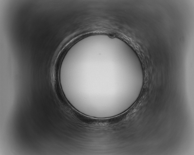 X0000100330247200806051209