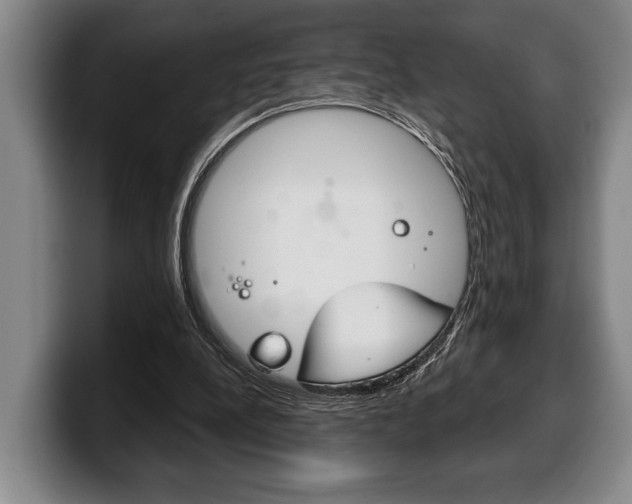 X0000100330248200806051209