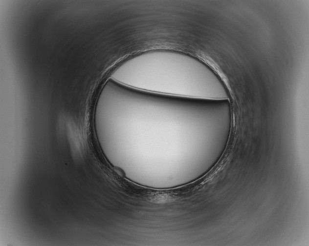 X0000100330249200806051209