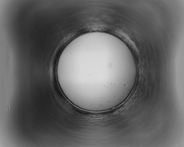 X0000100330250200806051209