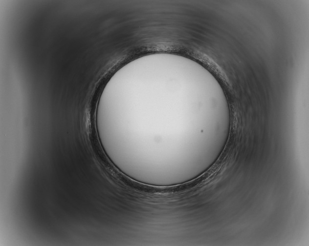 X0000100330251200806051209
