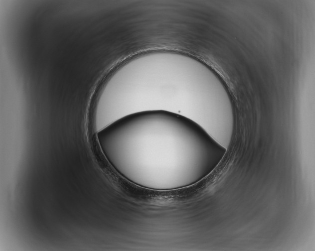 X0000100330252200806051209