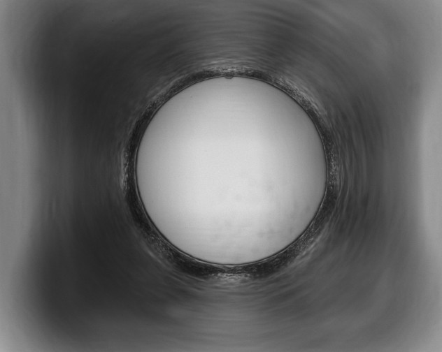 X0000100330255200806051209