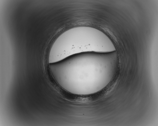 X0000100330260200806051210