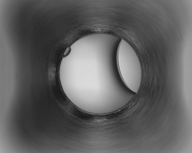 X0000100330263200806051210