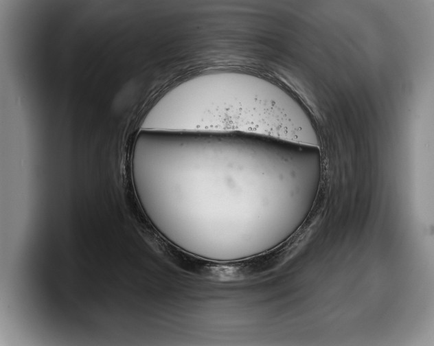 X0000100330265200806051210