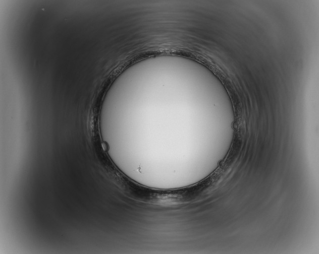 X0000100330268200806051210