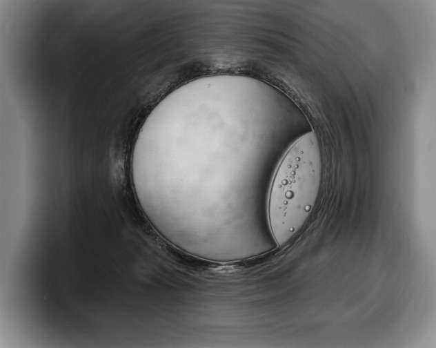 X0000100330269200806051210