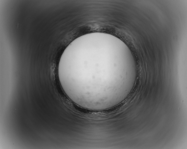 X0000100330275200806051210