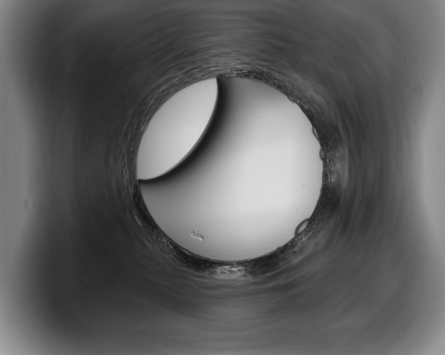 X0000100330279200806051210