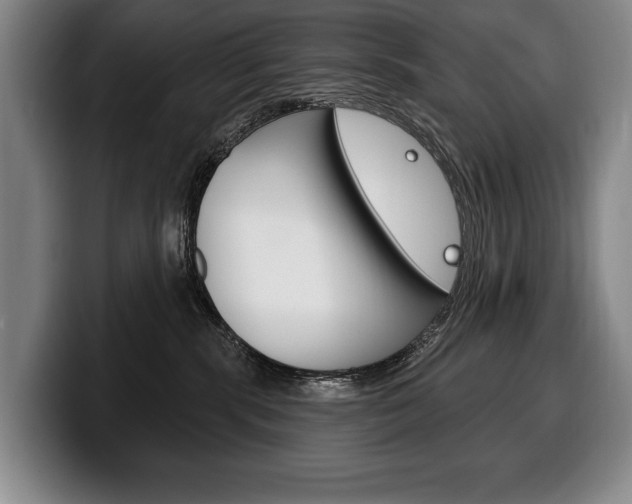 X0000100330283200806051210